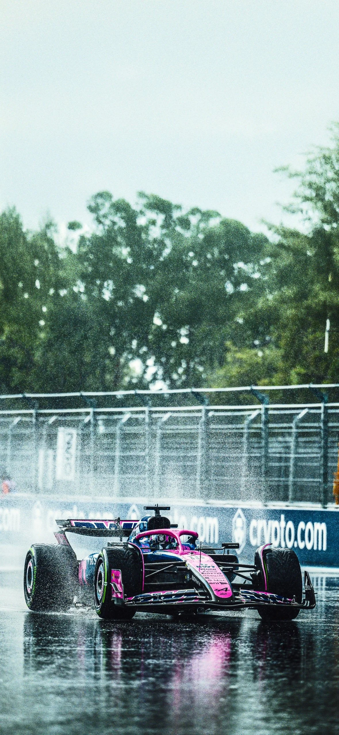 Pierre Gasly Alpine F1 Wallpaper (2025) – Free Download | F1 Ocean