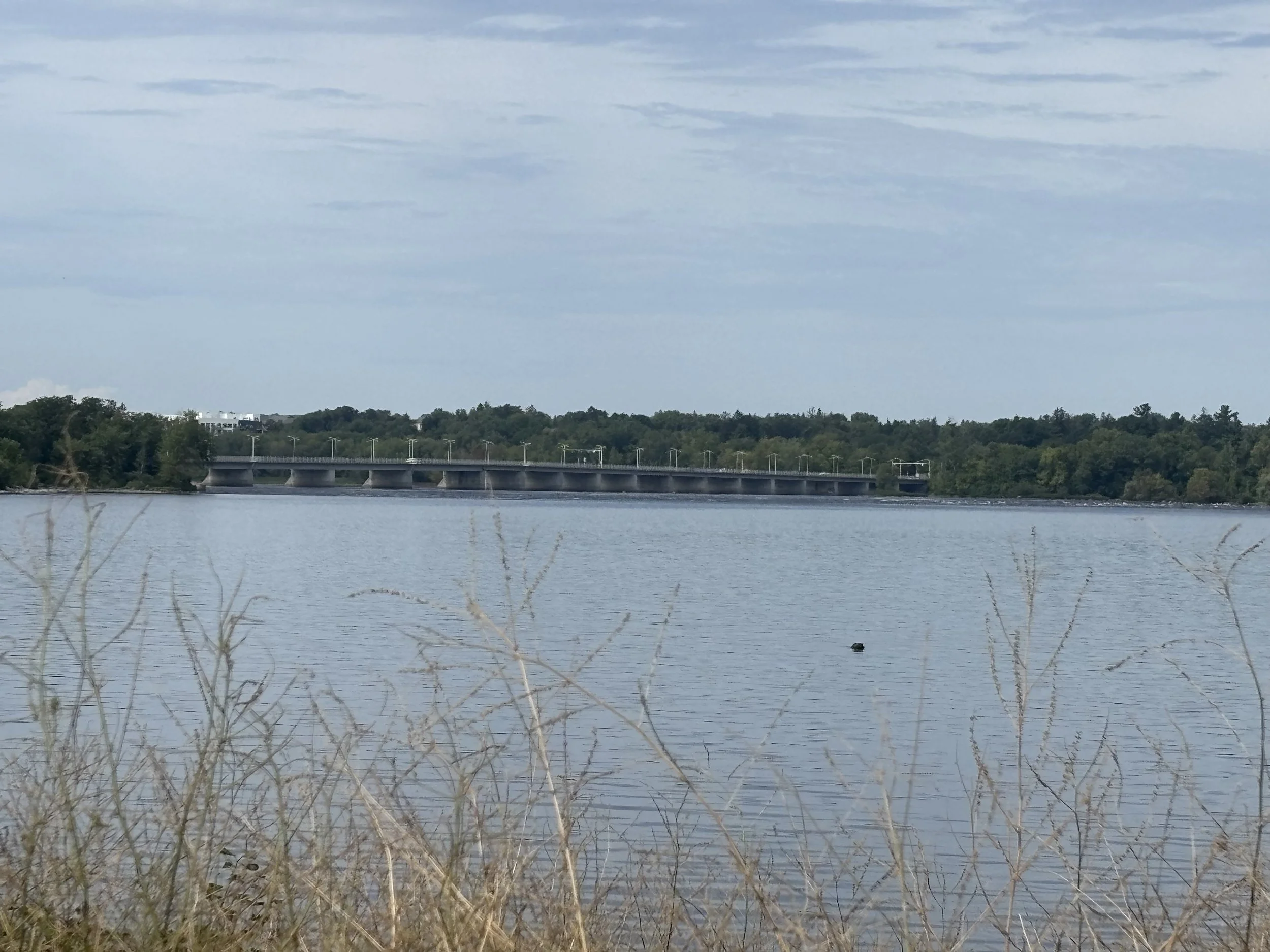 A body of water with dry grass in the foreground and a bridge in the distance under a partly cloudy sky.
