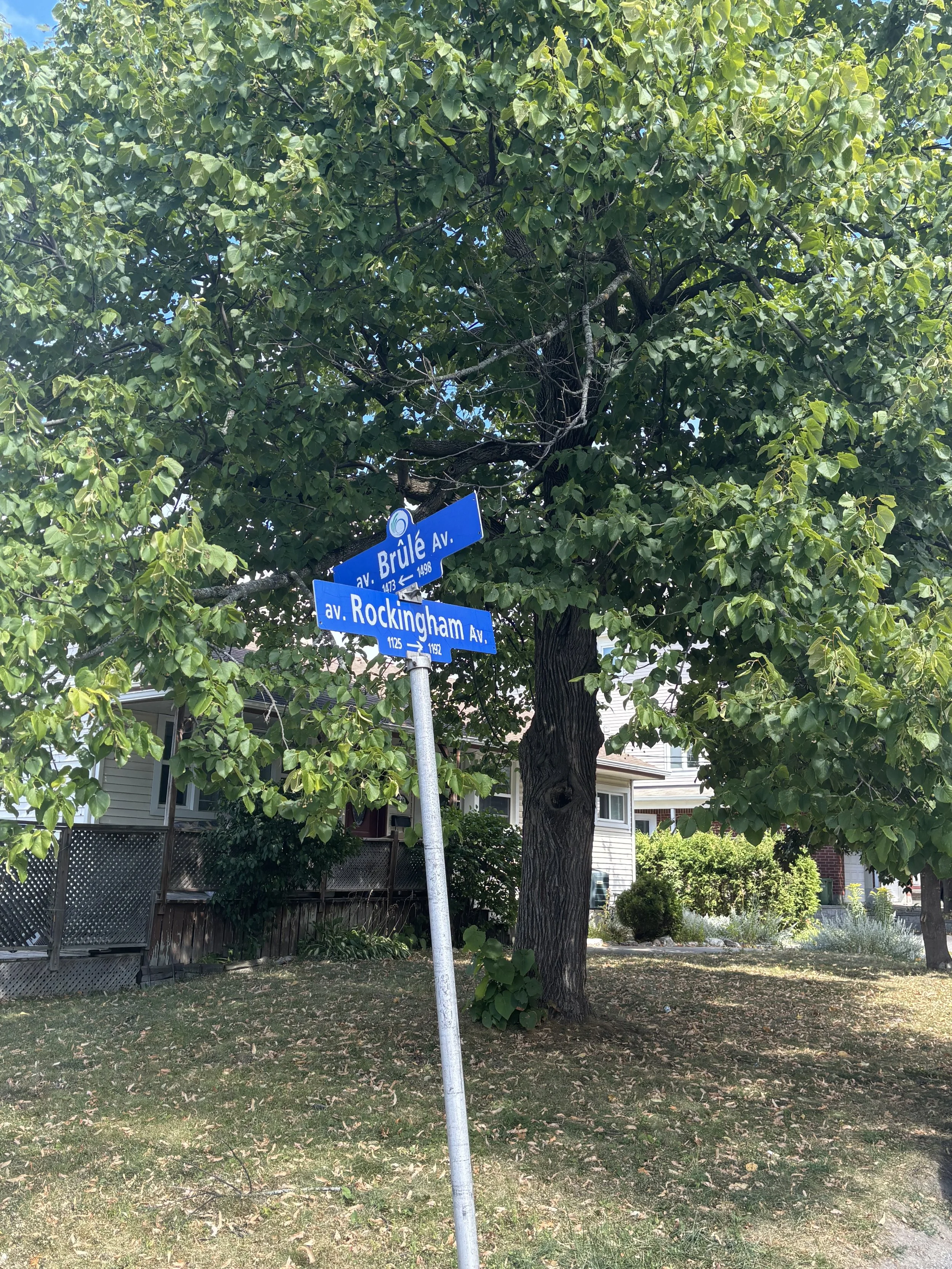 Street signs at the intersection of Brule Avenue and Rockingham Avenue, surrounded by green trees and residential houses in a neighborhood.