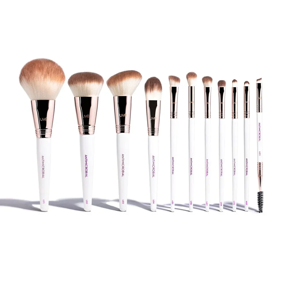 Professional Antimicrobial Brush Set (11+)