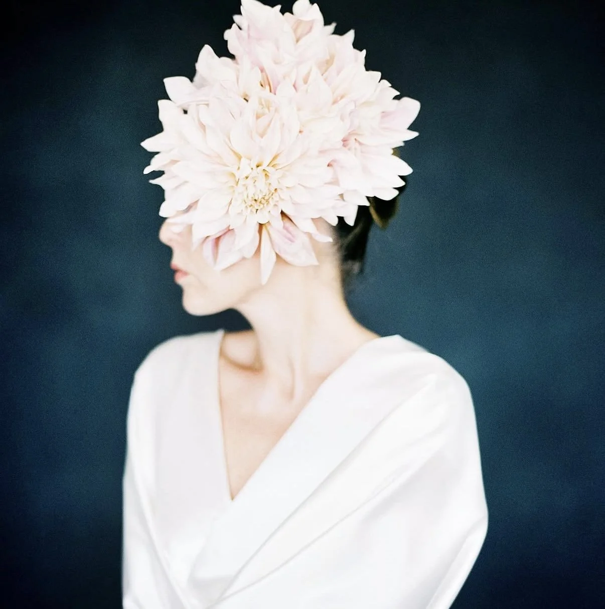 A woman in a white top with a large pink flower covering her face and head, set against a dark background.