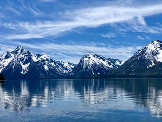 Parkinson's Metabolic Health, Wellness, & Fitness Concierge Blueprint- 12 Months