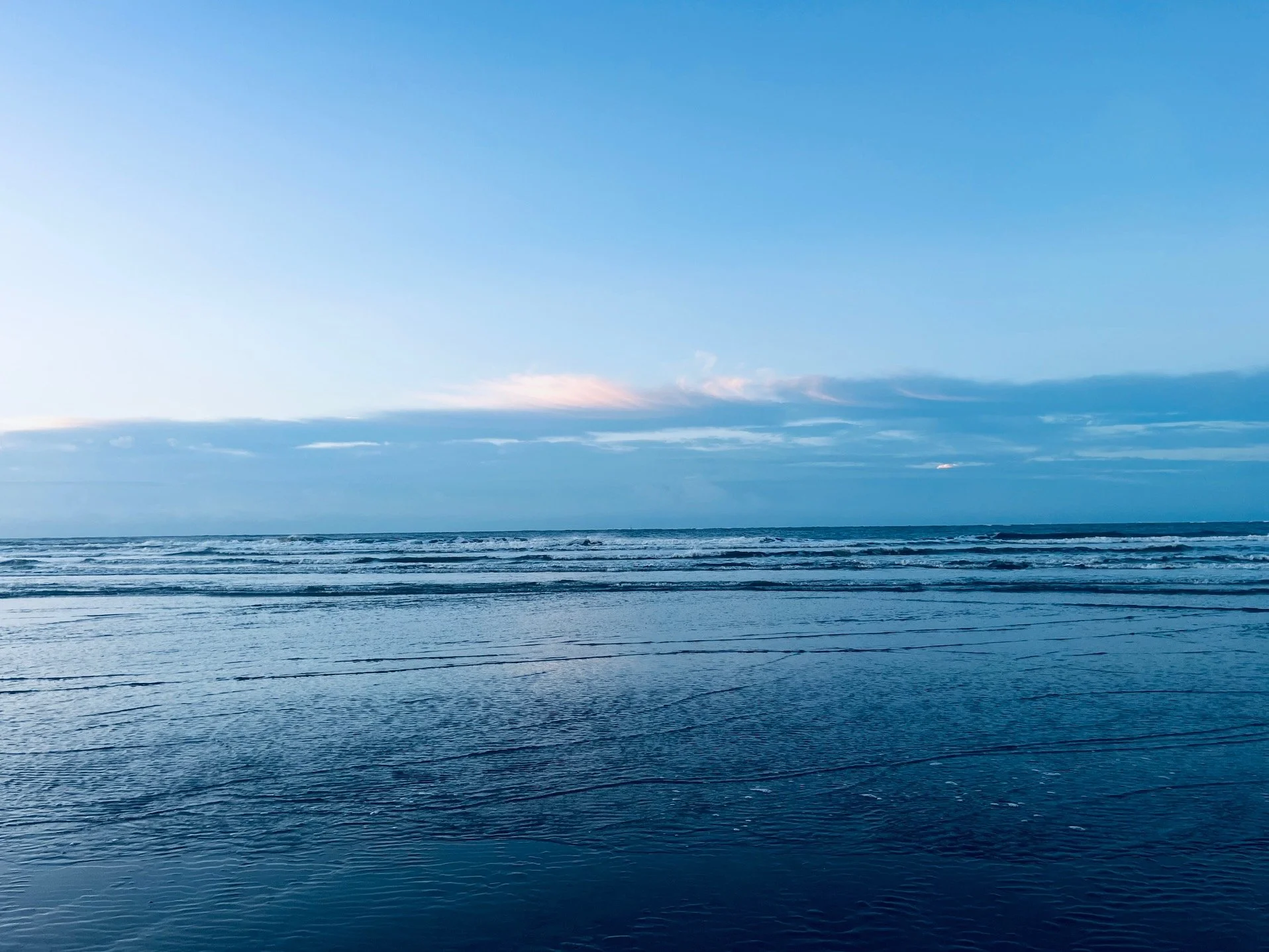 Parkinson's Metabolic Health, Wellness & Fitness Concierge Blueprint-6 Months