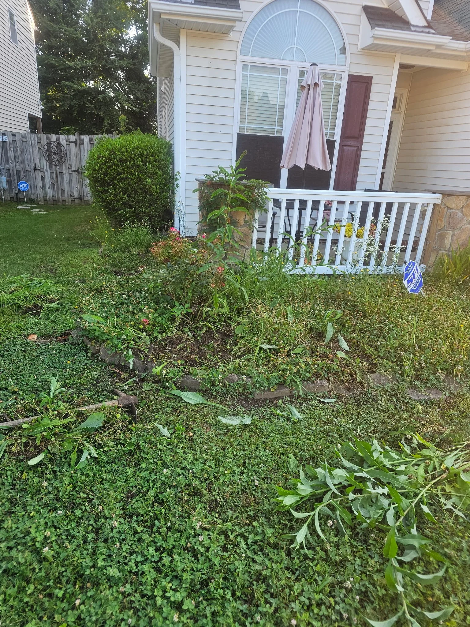Before (Leaf Removal Trimming Mulching, and Planting Service)