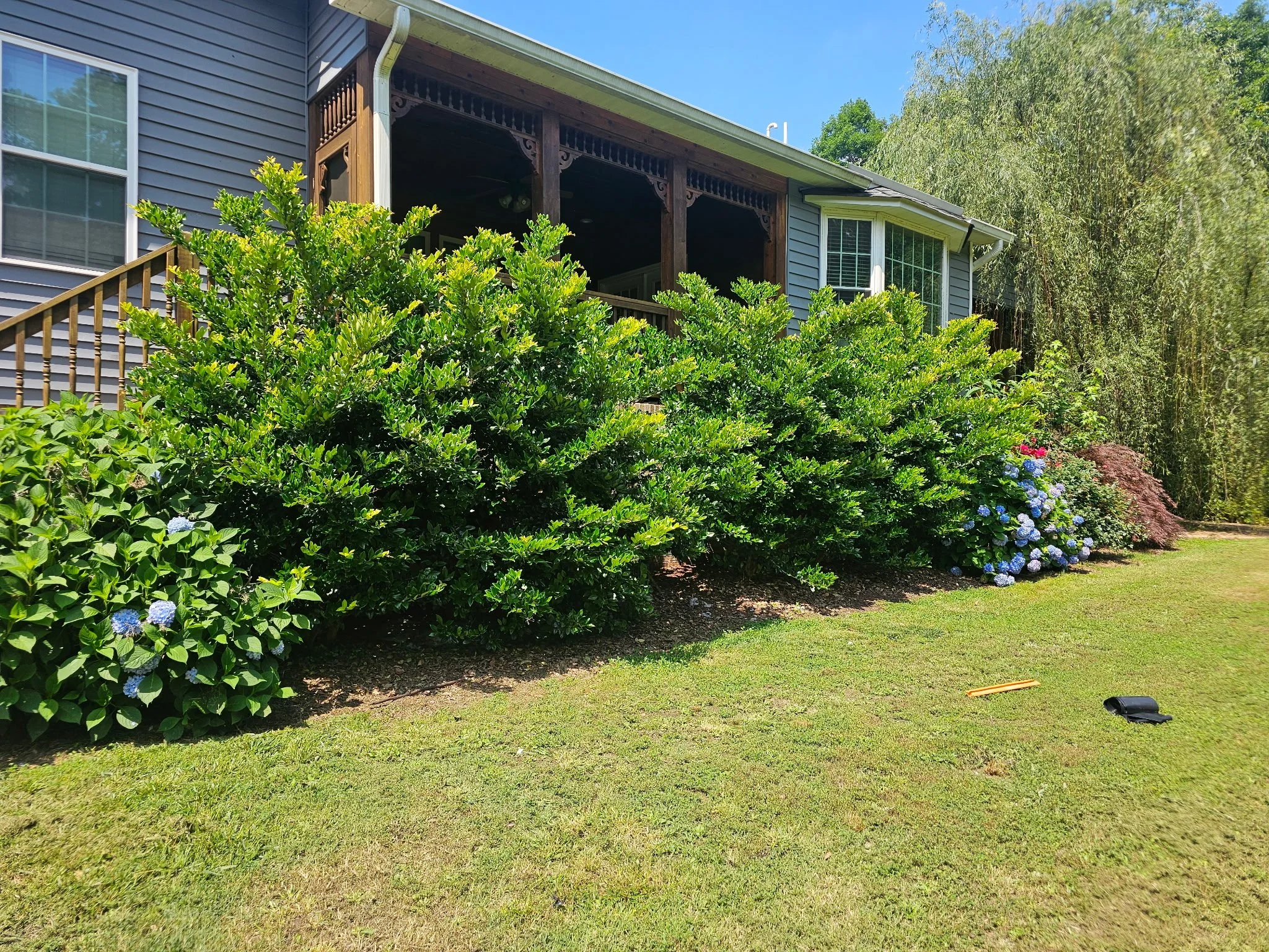 Before (Trimming Service)
