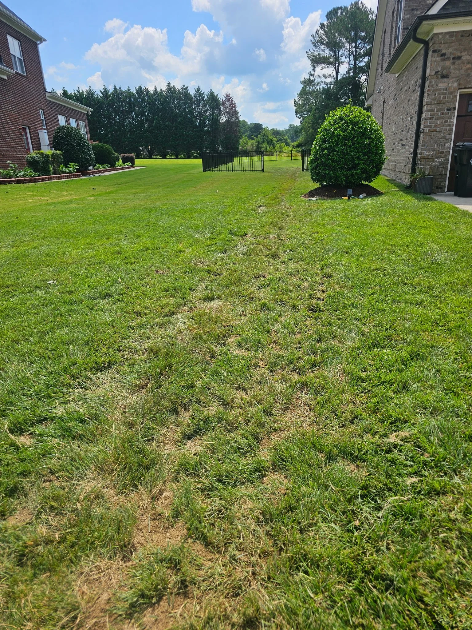 After (Custom Landscaping Service)