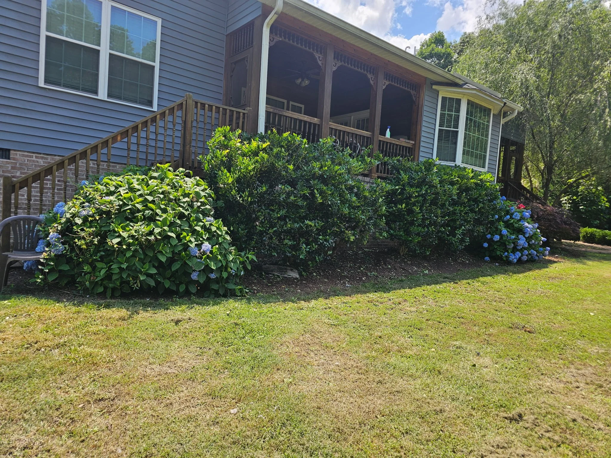 After (Trimming Service)