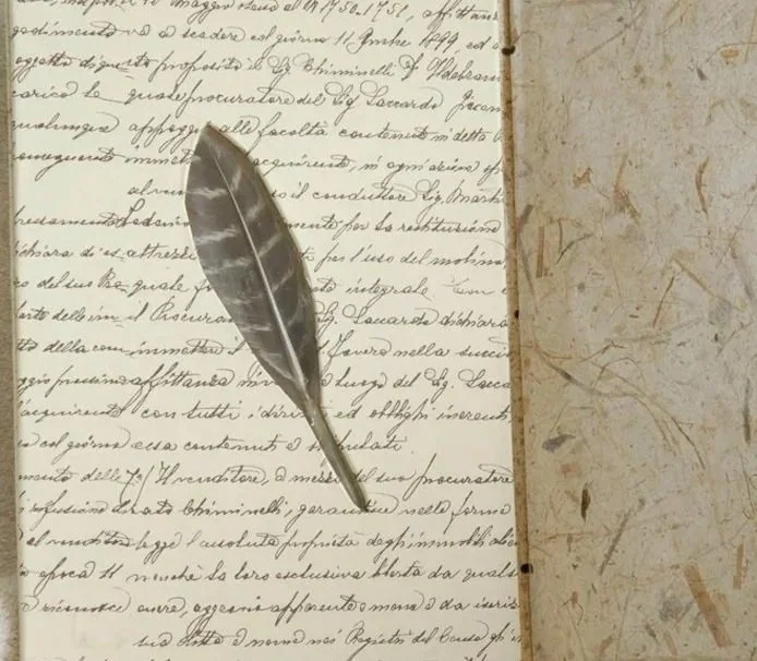 Journal script with feather from Kate Stockman Designs