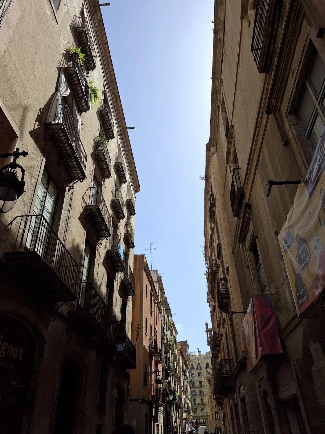 20240618_163311.jpg