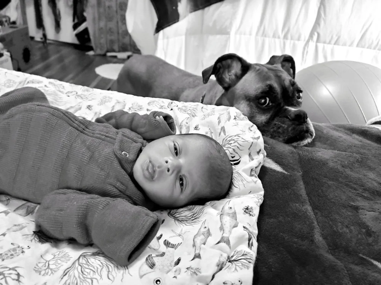 Blog 3: Smooth Take-off, Ruff Landing