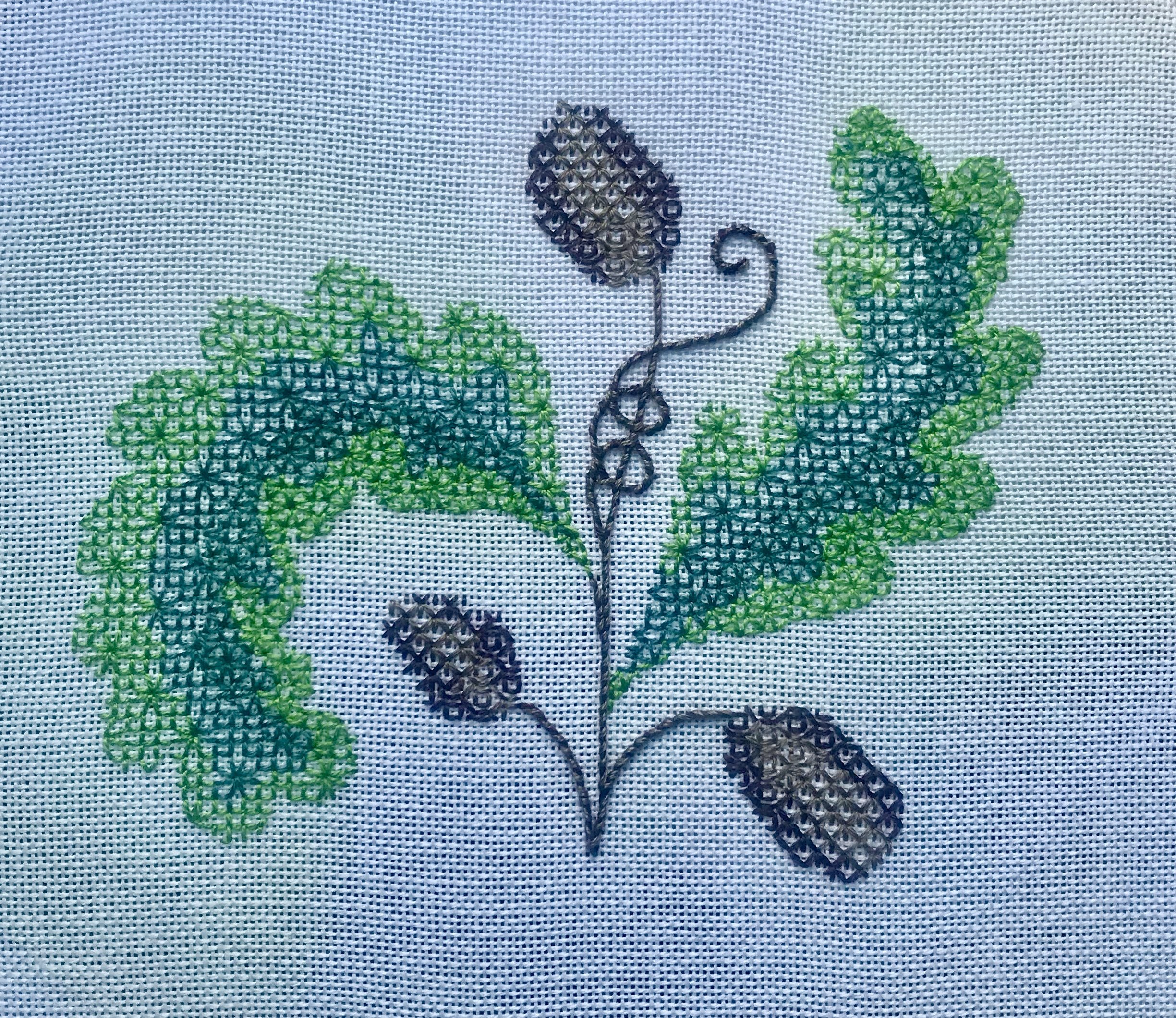 Small Acorns Blackwork kit in colour
