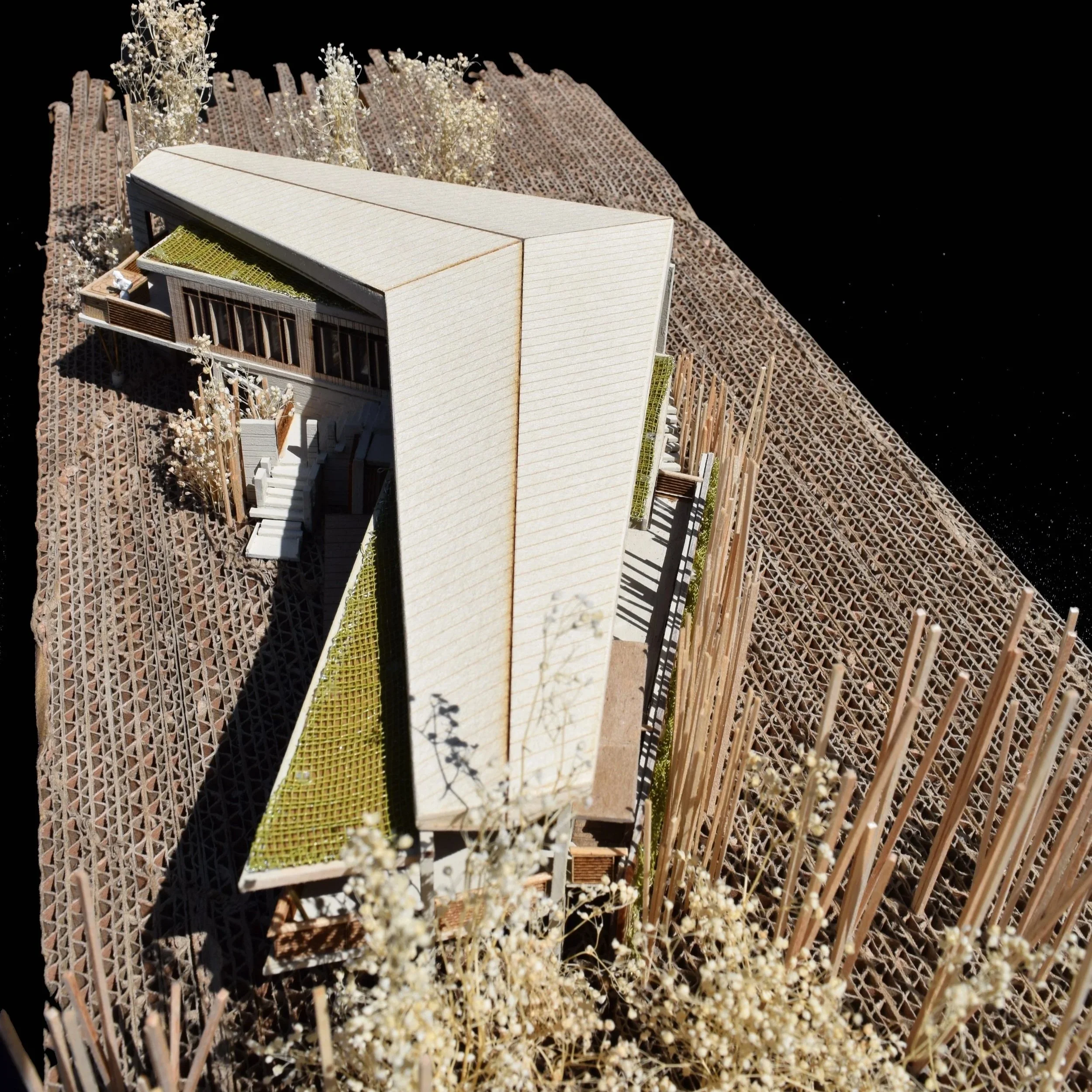 The Butterfly's Kiss