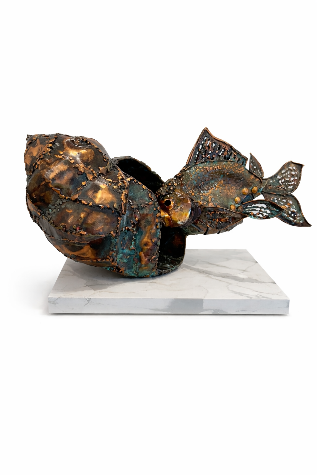 “ Caracol con Pez”