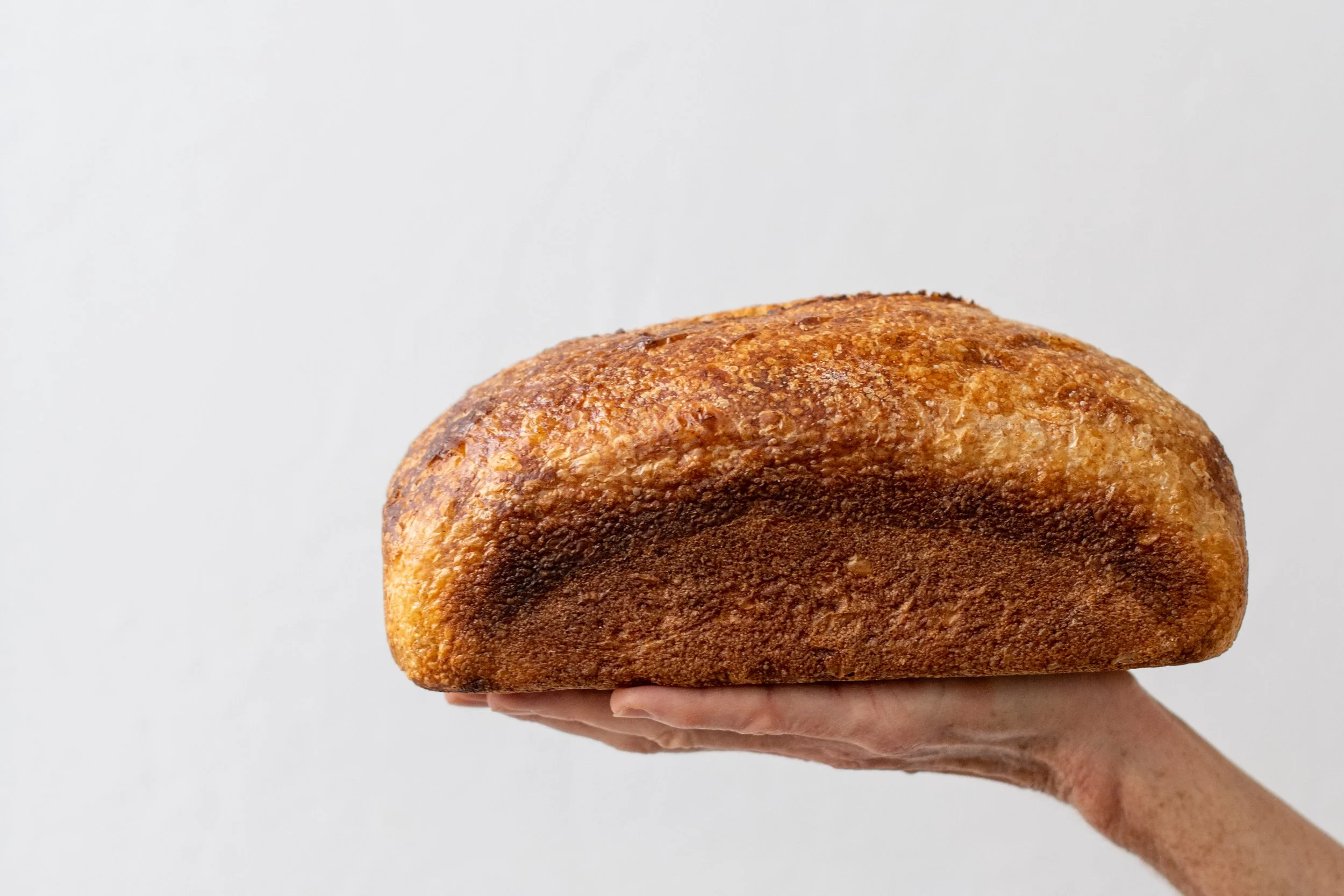 Whole Wheat Sourdough Sandwich Loaf