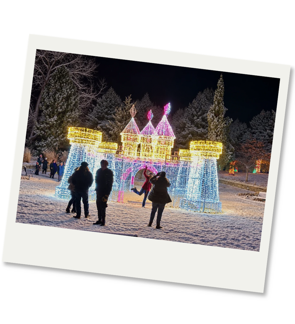 Holiday Nights Castle Group