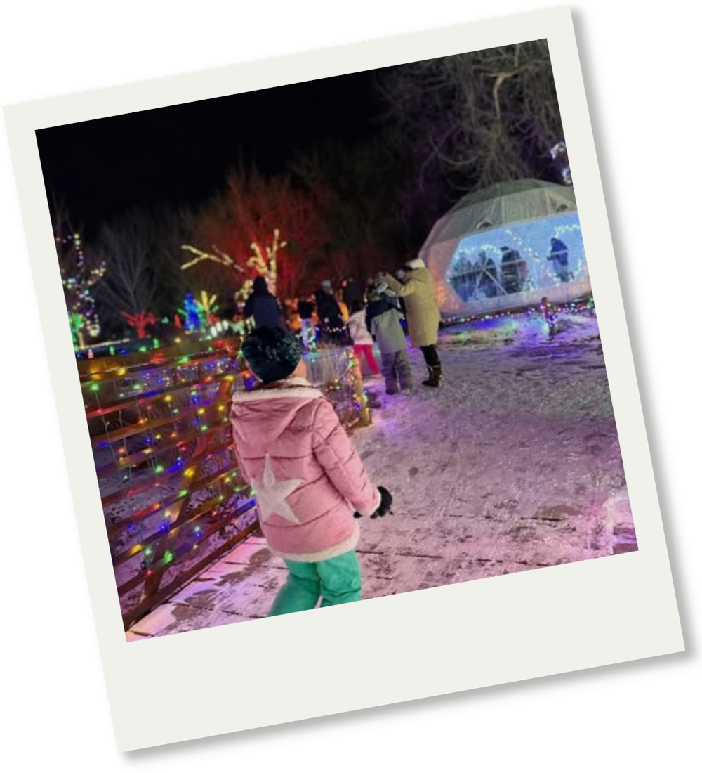 Holiday Nights Igloo Island Group