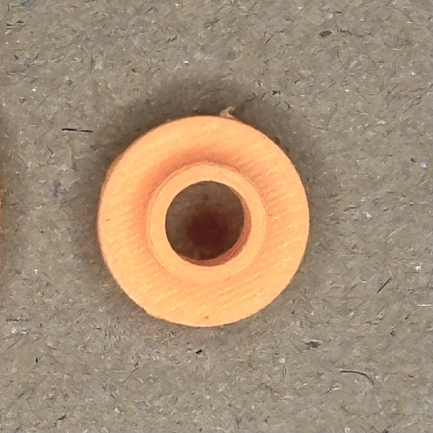 IMG_1128.jpg