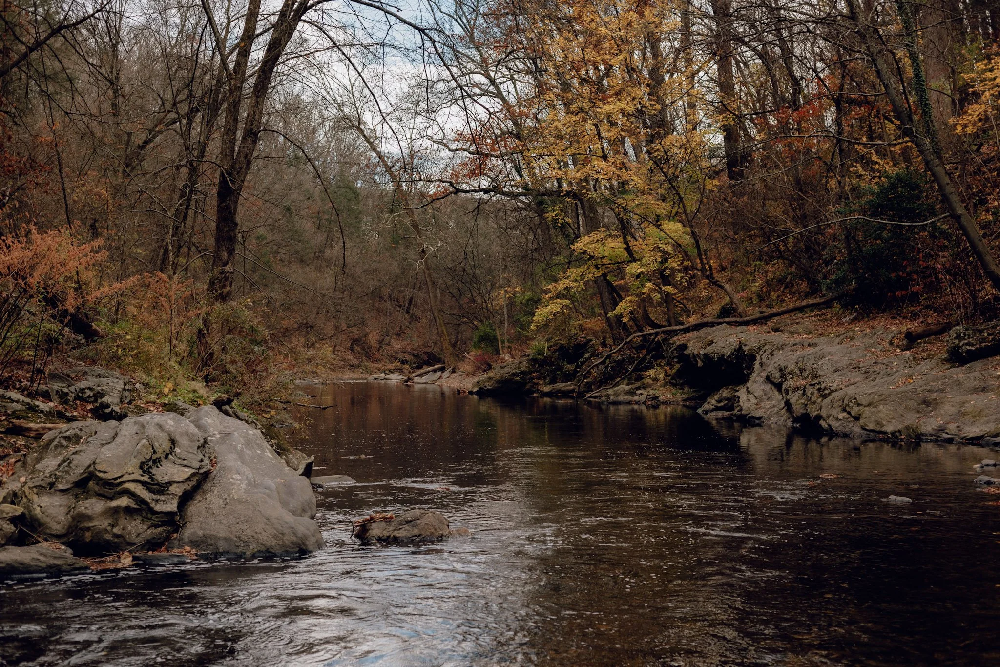 A river flowing through a wooded area with trees showing fall colors and rocks along the banks.