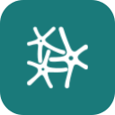 connected nervous system logo icon