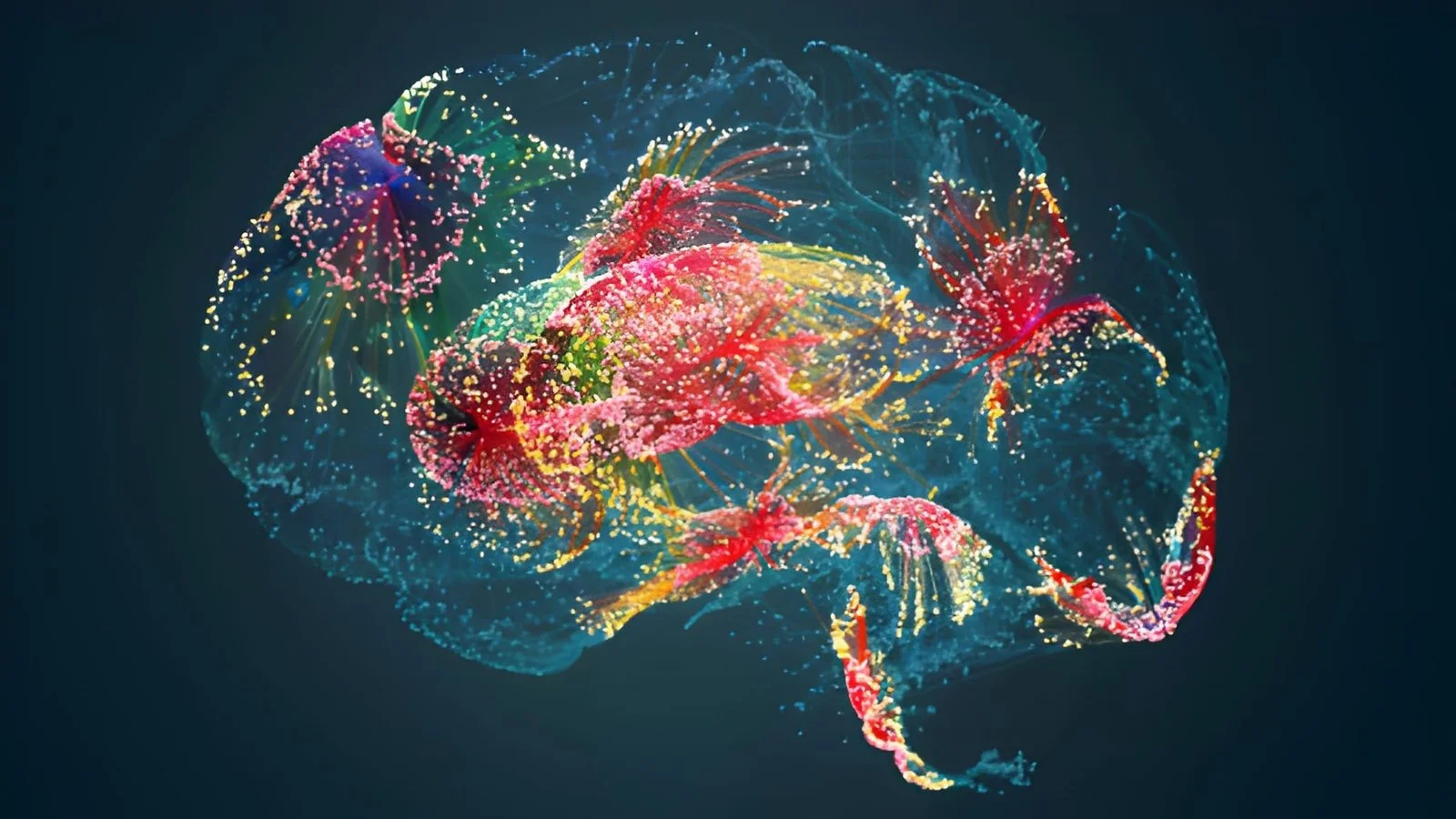 Nervous System Decoded Series — nervous system education for Functional Neurological Disorder and PNES