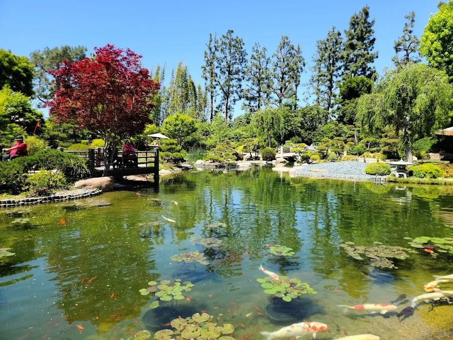 Earl-Burns-Miller-Japanese-Garden.jpg