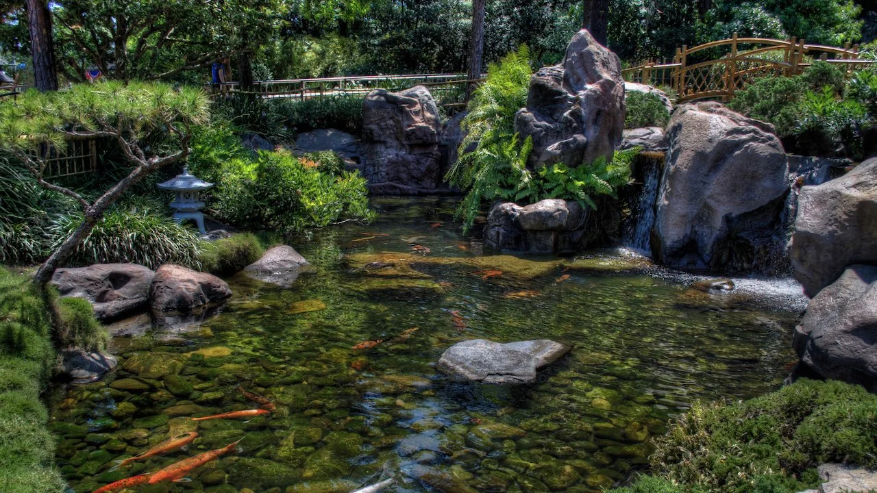 WDW - Epcot