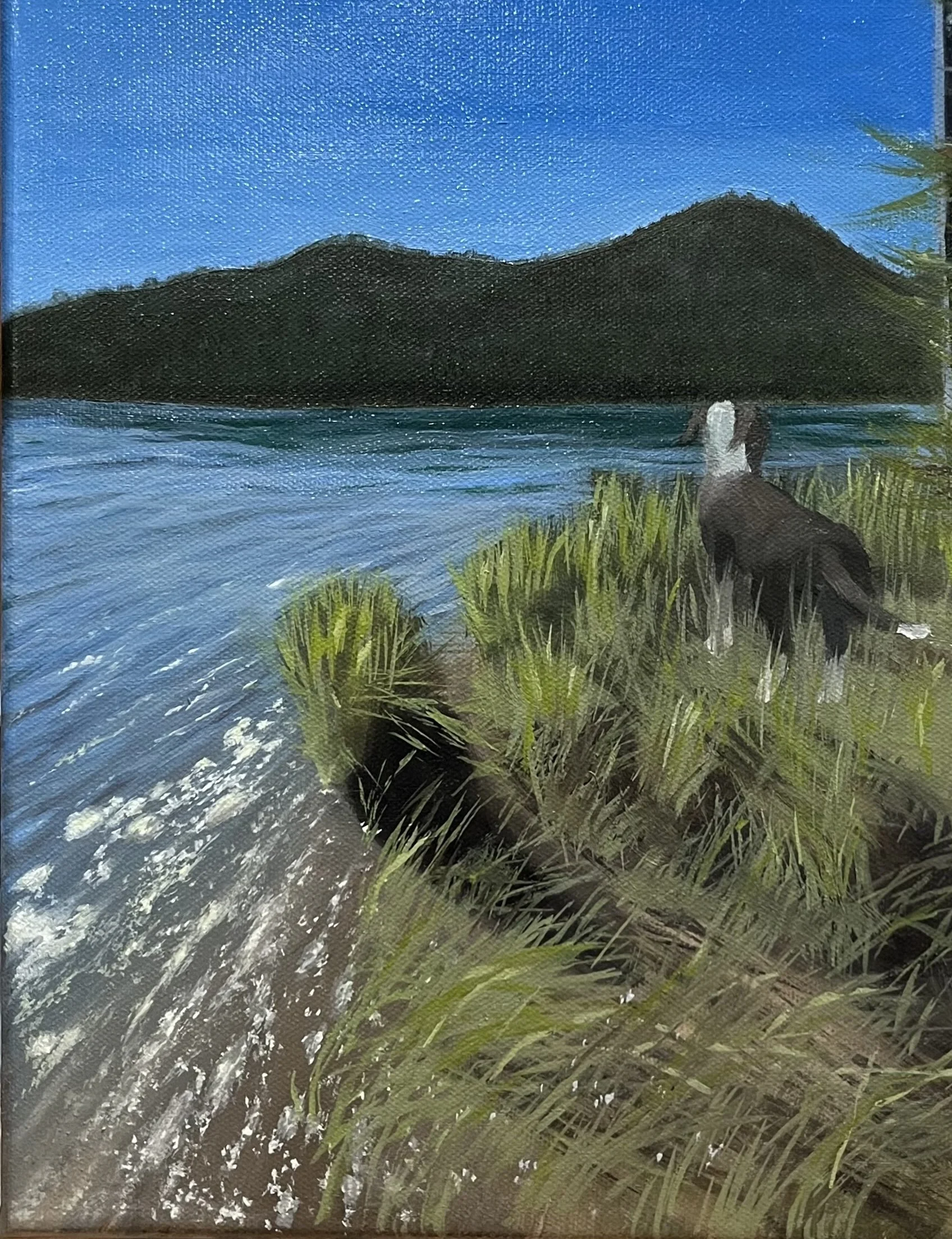 Studio art 3.jpg