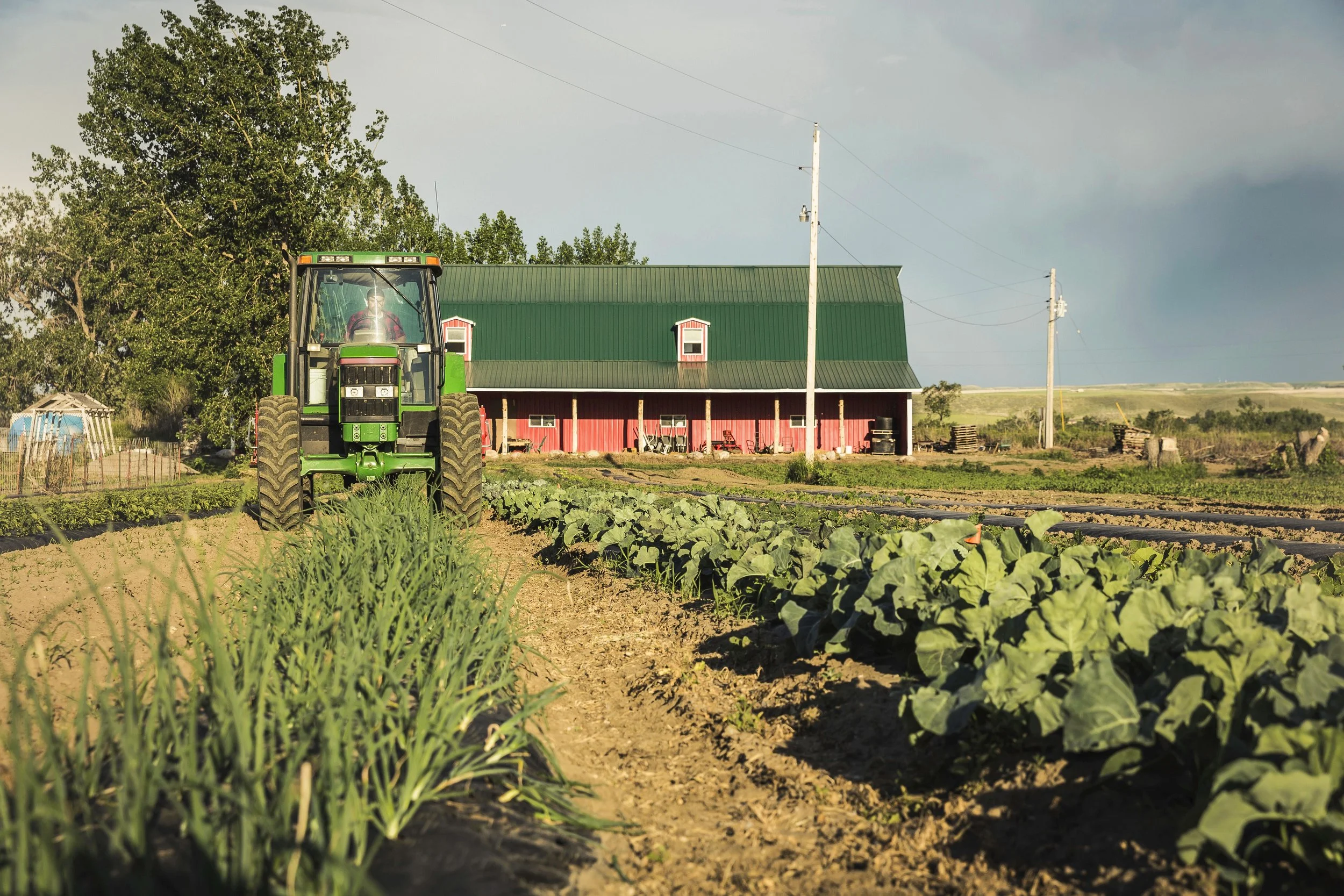 WHIN and Trilogy Announce Partnership Accelerating the Commercial Digitalization of Today’s Farm