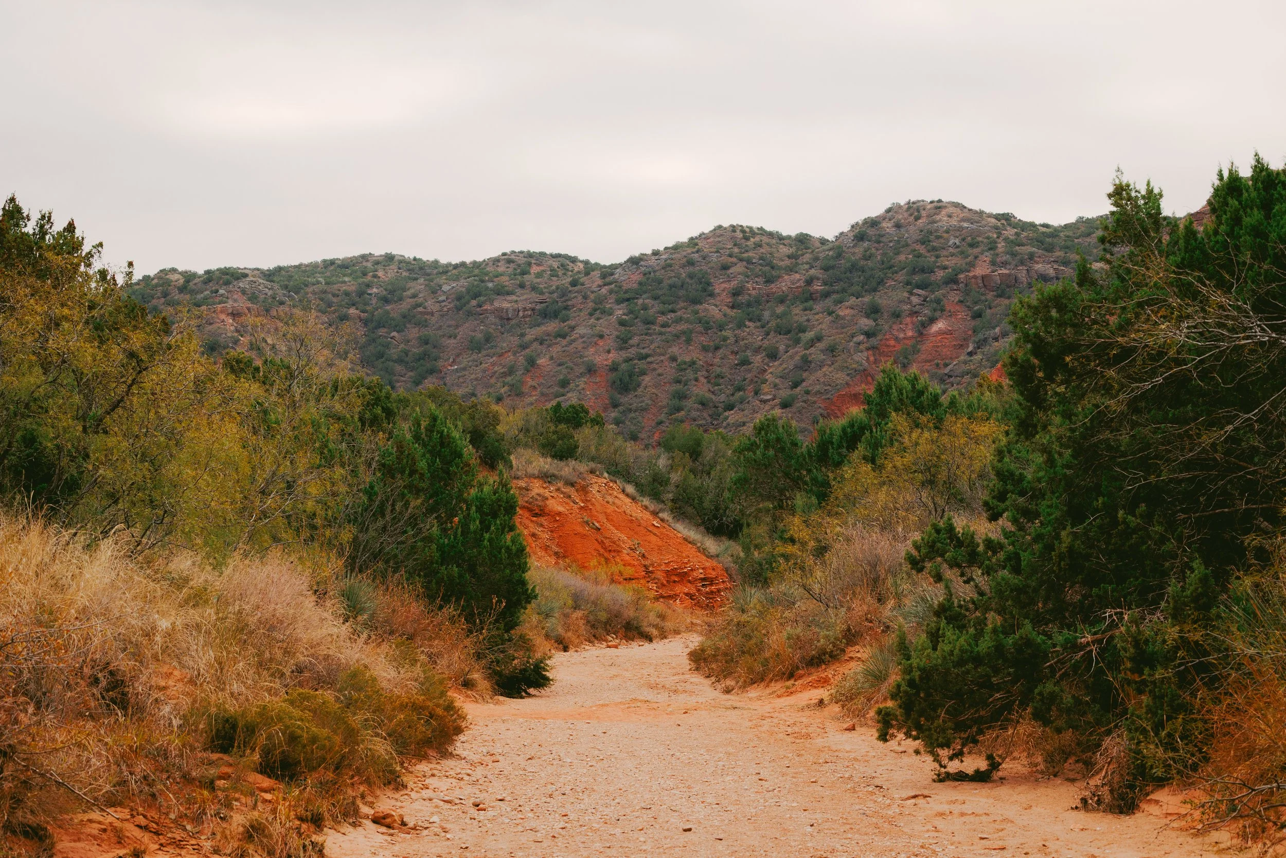 A dirt trail winding through a desert landscape with red rock formations and green bushes, under an overcast sky.