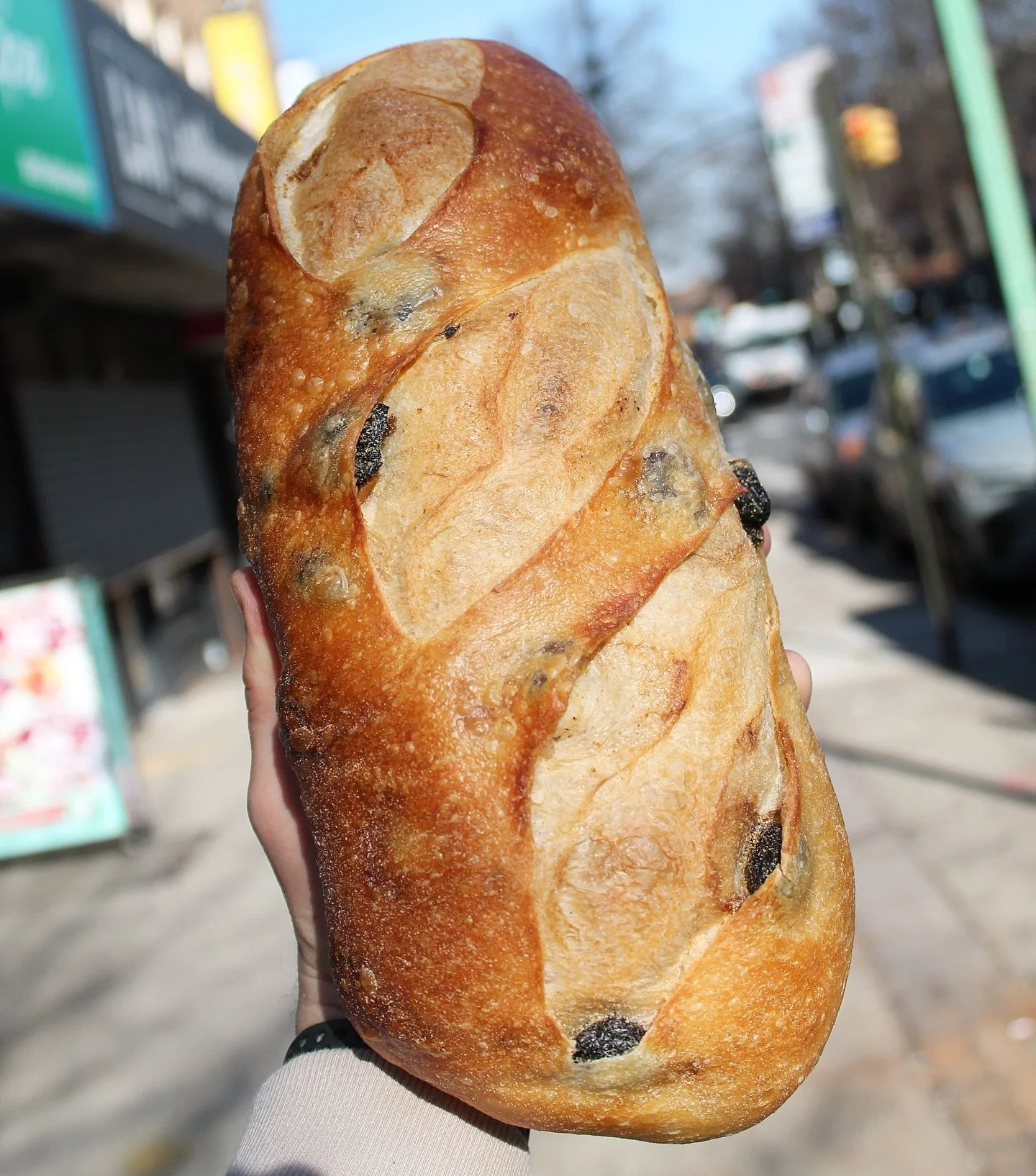 🫒 🥖 ❤️ #bakedinbrooklyn #brooklyn #breadhead #bread