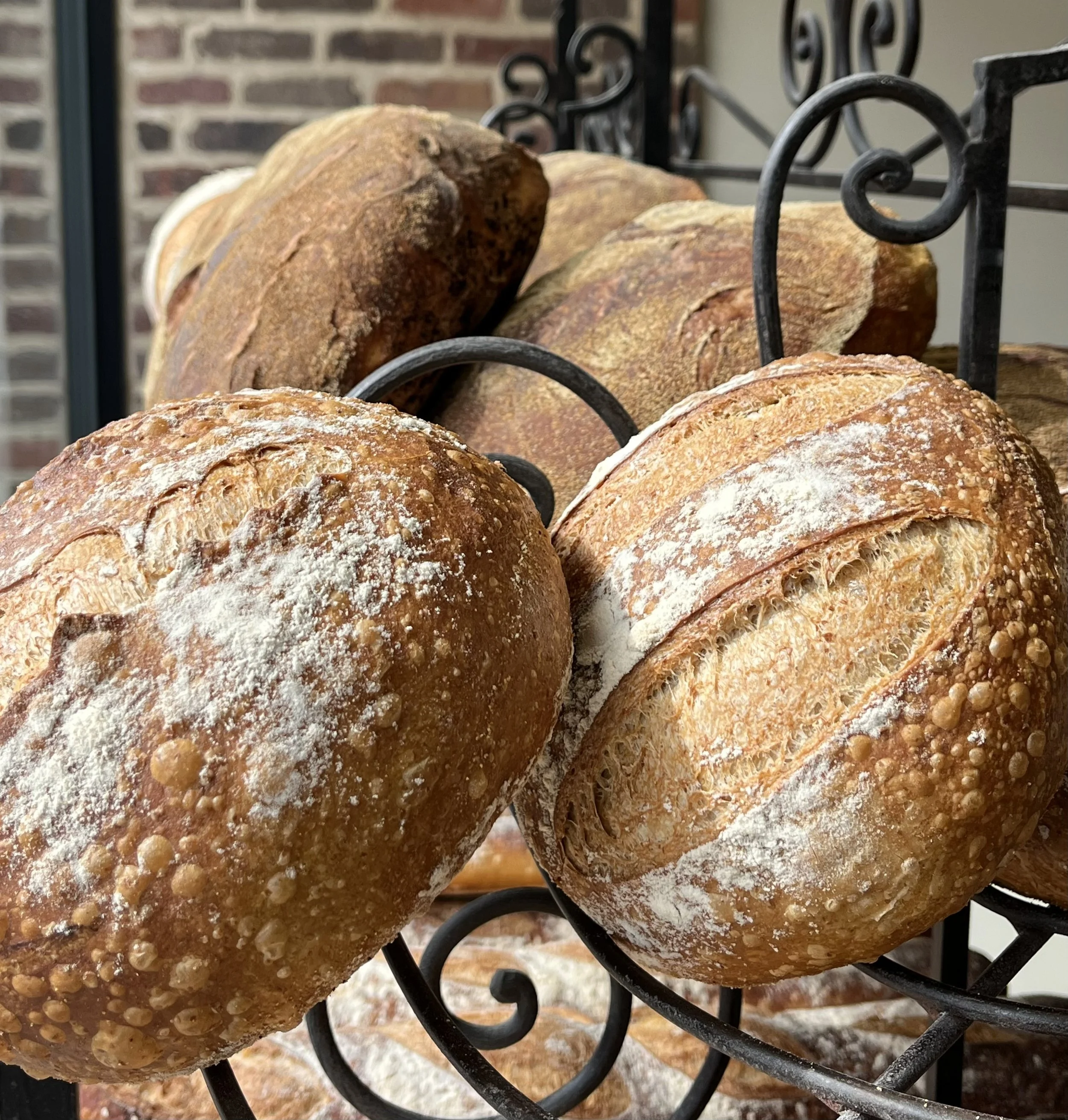 Freshly baked loaves of bread with crusty golden-brown surfaces, some dusted with flour, resting on a black metal bread rack.