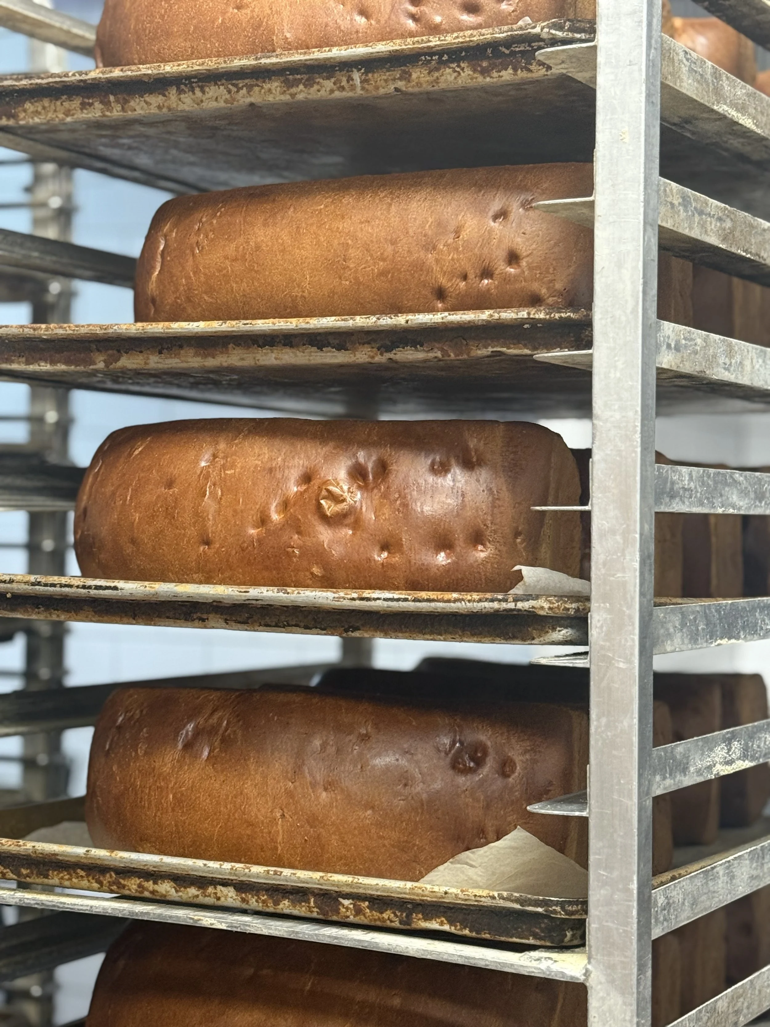Loaves of bread cooling on a metal rack outdoors.