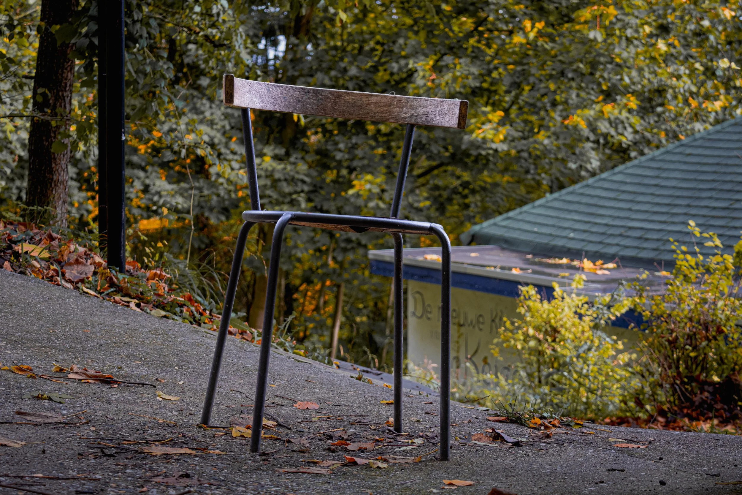 Empty wooden bench on a hilltop with fallen leaves, trees, and a building with a green roof in the background.