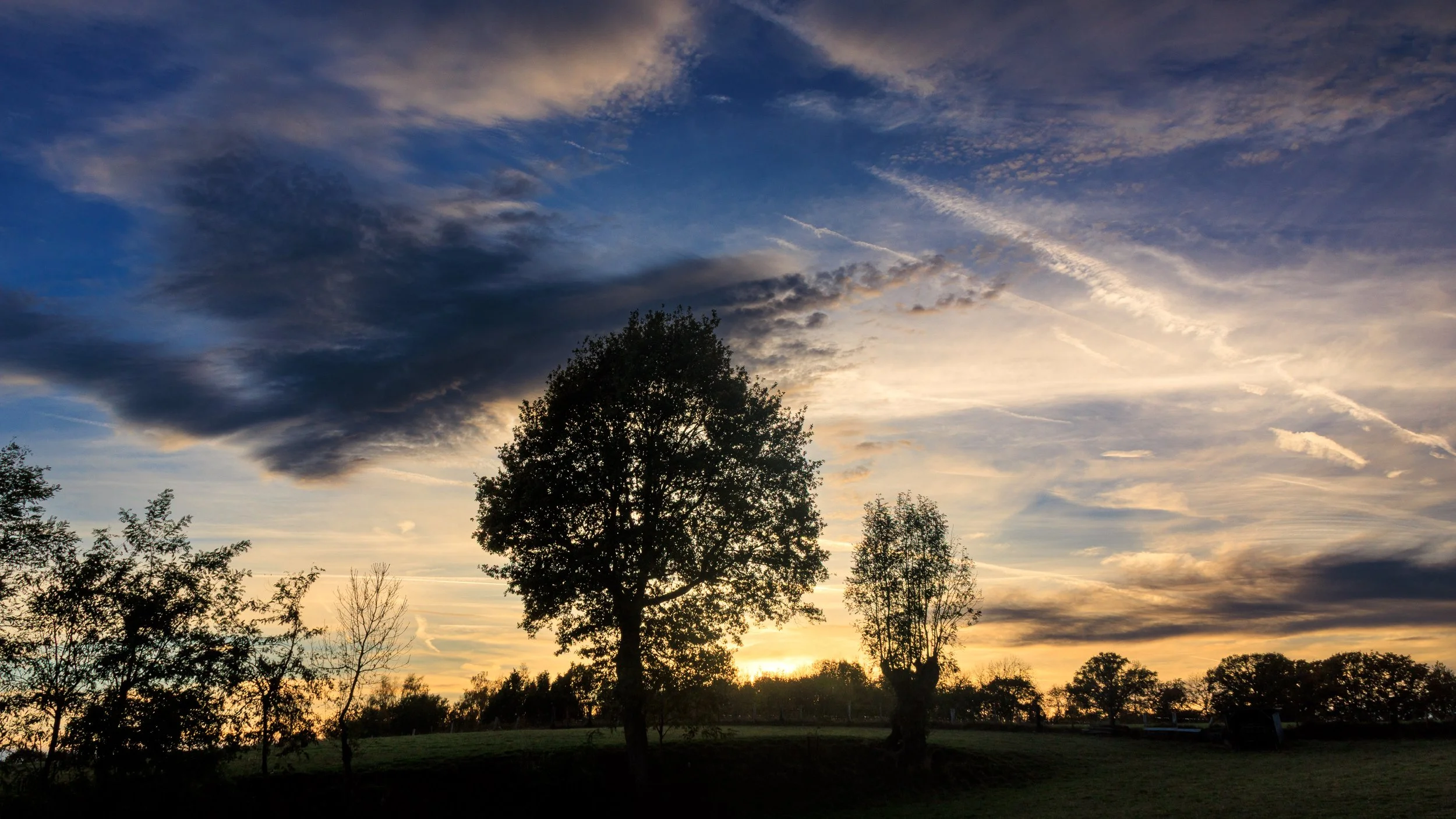 Sunset over a landscape with trees and a partly cloudy sky.