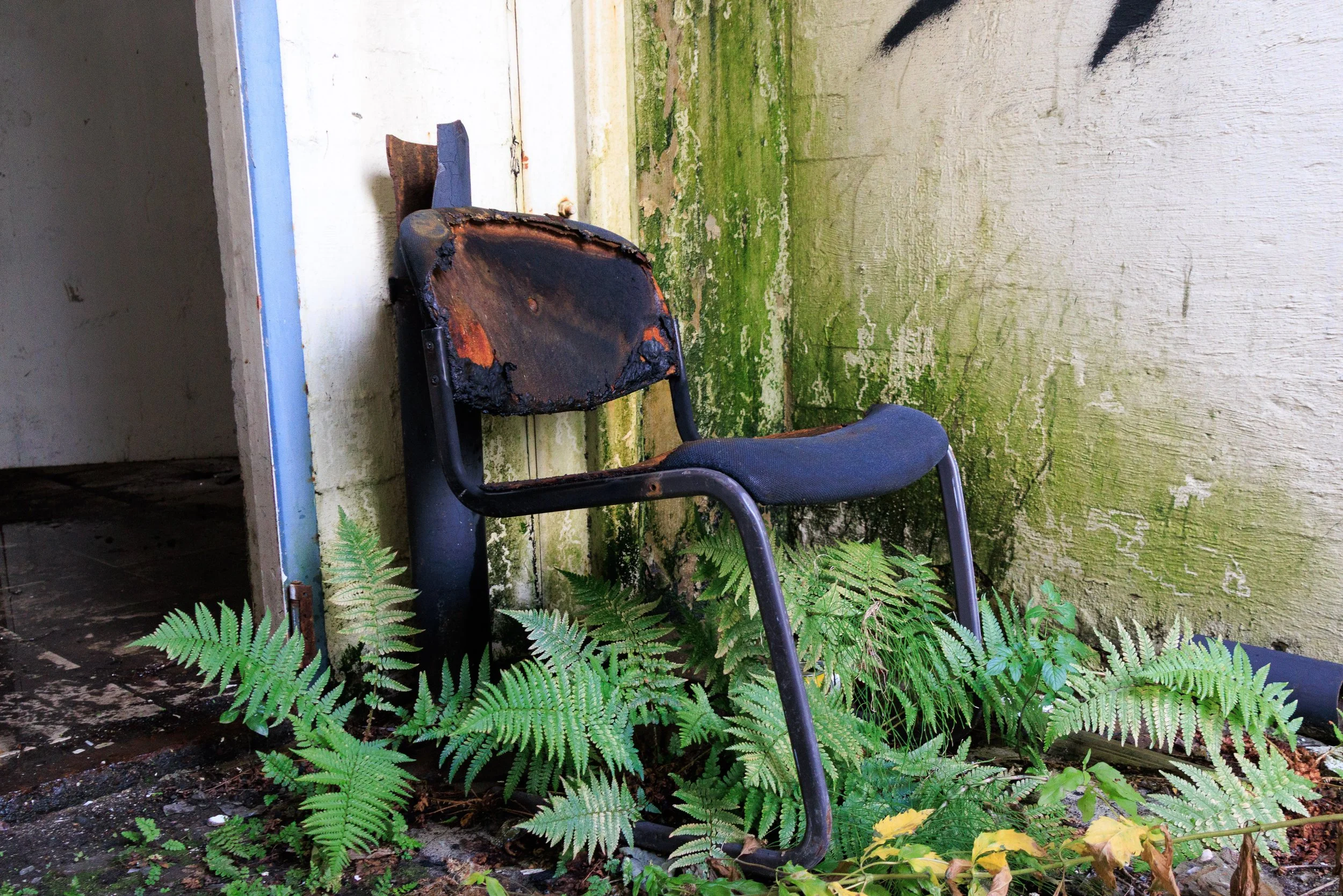 An abandoned, burned chair with a rusted backrest leans against a moss-covered, weathered wall, with green ferns growing around its base.