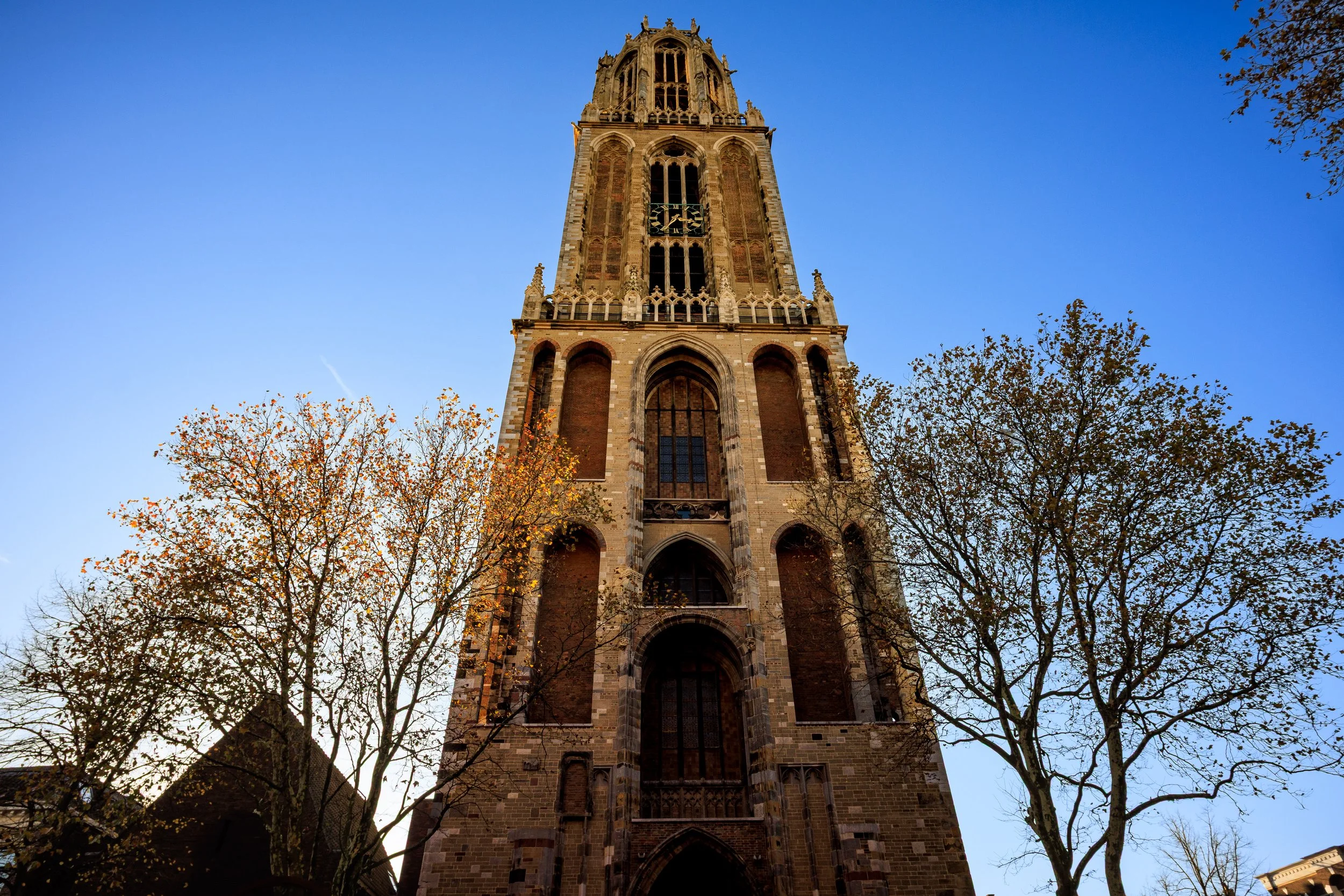 View of a tall, historic church tower with Gothic architecture, surrounded by trees with autumn leaves, against a clear blue sky.
