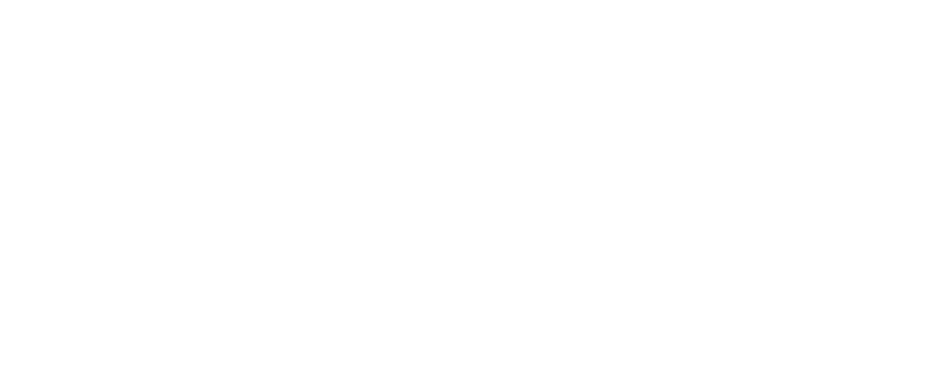 DestinationHospitality_Mountains_White.png