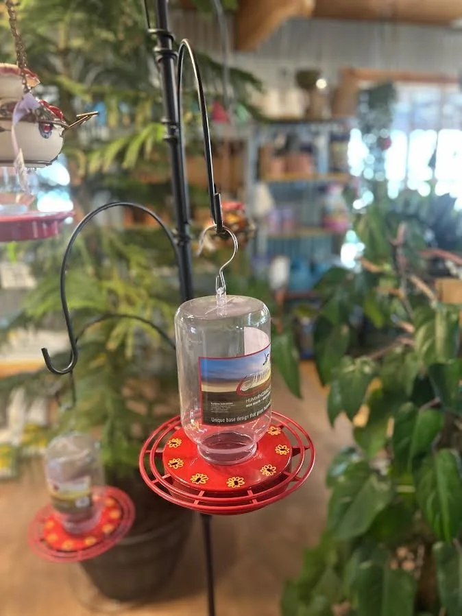 Hummingbird feeder with a clear plastic container and a red base, hanging in a store with green plants and shelves in the background.