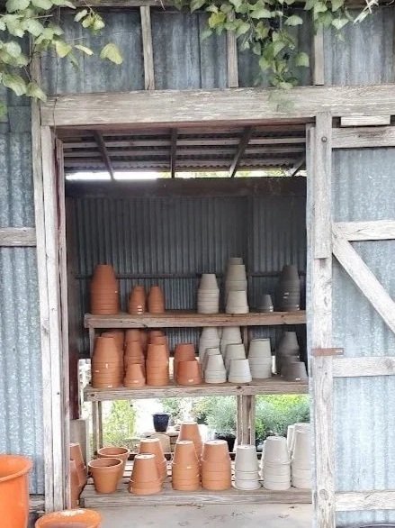 Shelves inside a rustic barn with various unglazed terracotta and beige planters and pots arranged on wooden shelves