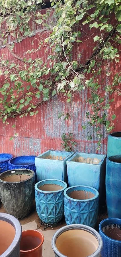 Various colorful ceramic pots and planters with soil, set outside against a weathered red wall with green vines growing on it.