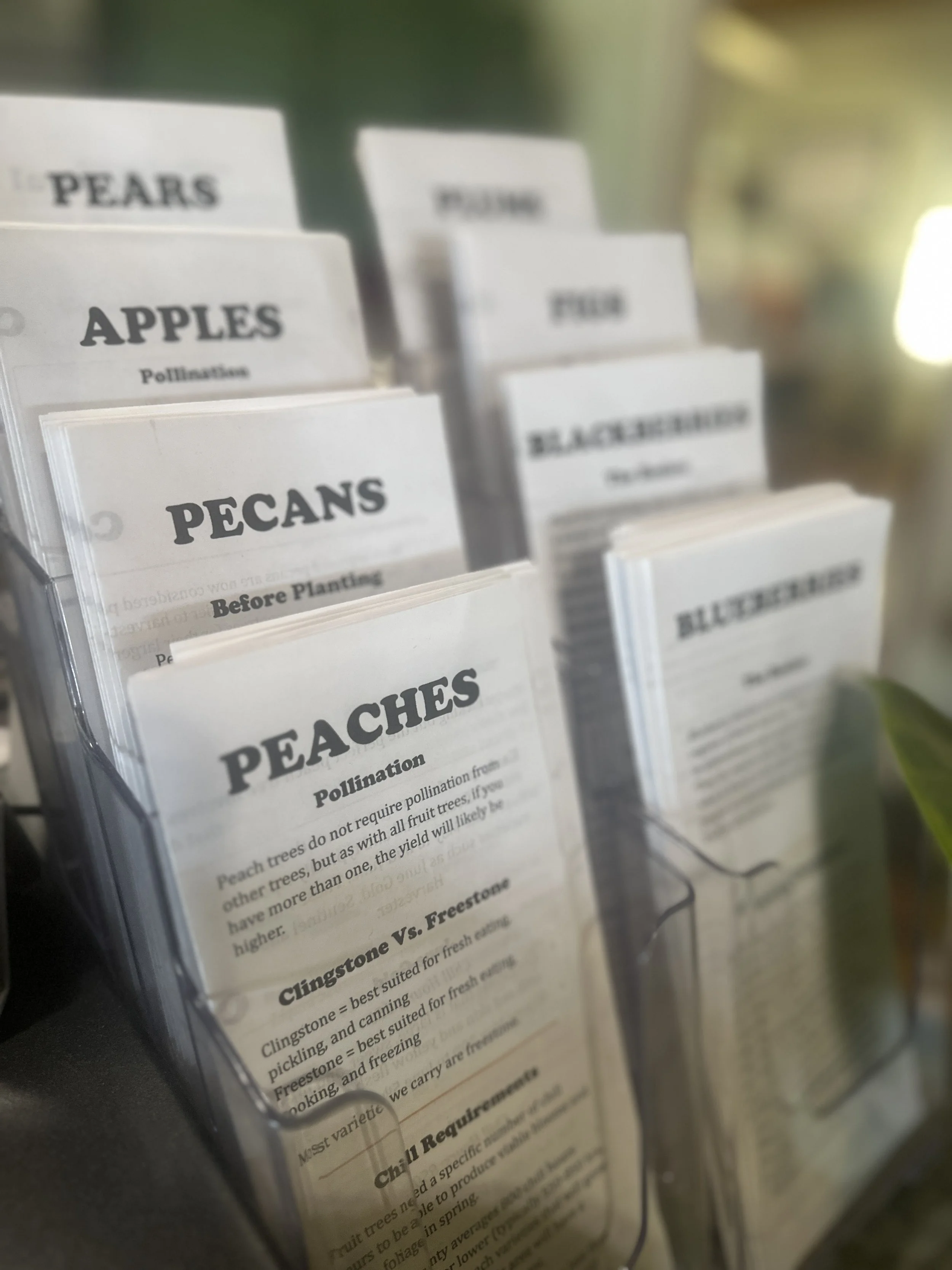 Seed packets for planting, labeled with various fruit and nut names such as apples, peaches, pears, blackberries, and fuyu.