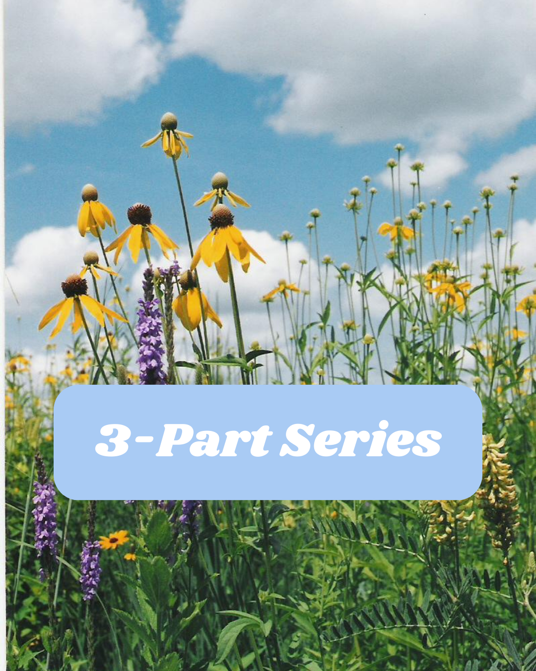 Embodied Leadership Skills - 3-part series
