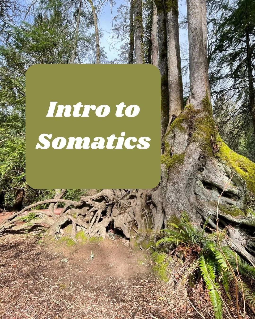 Introduction to Somatics: Boundaries and Consent