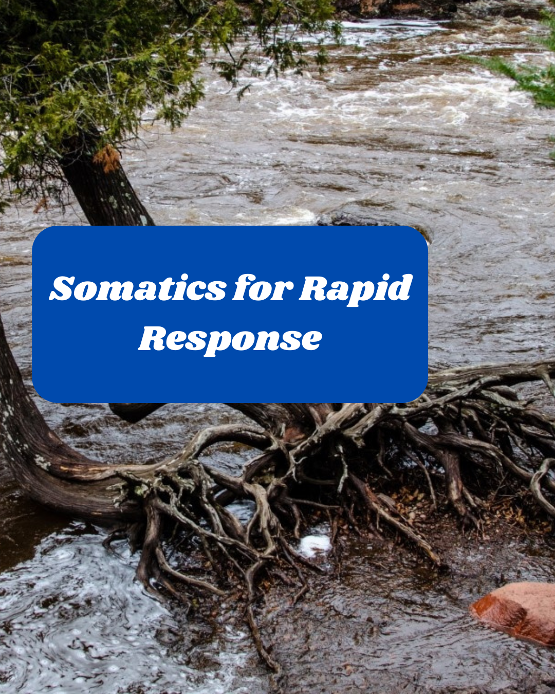 Somatics for Rapid Response Moments