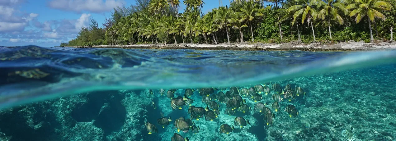 All is ONE | Being part of the Infinitely Divisible Whole