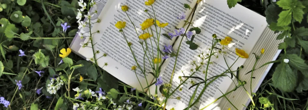 The 5 Books You NEED for Your Healing Journey