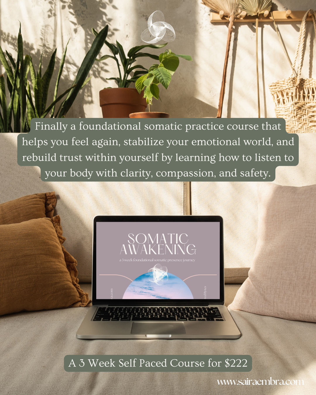 Emotional regulation course.png