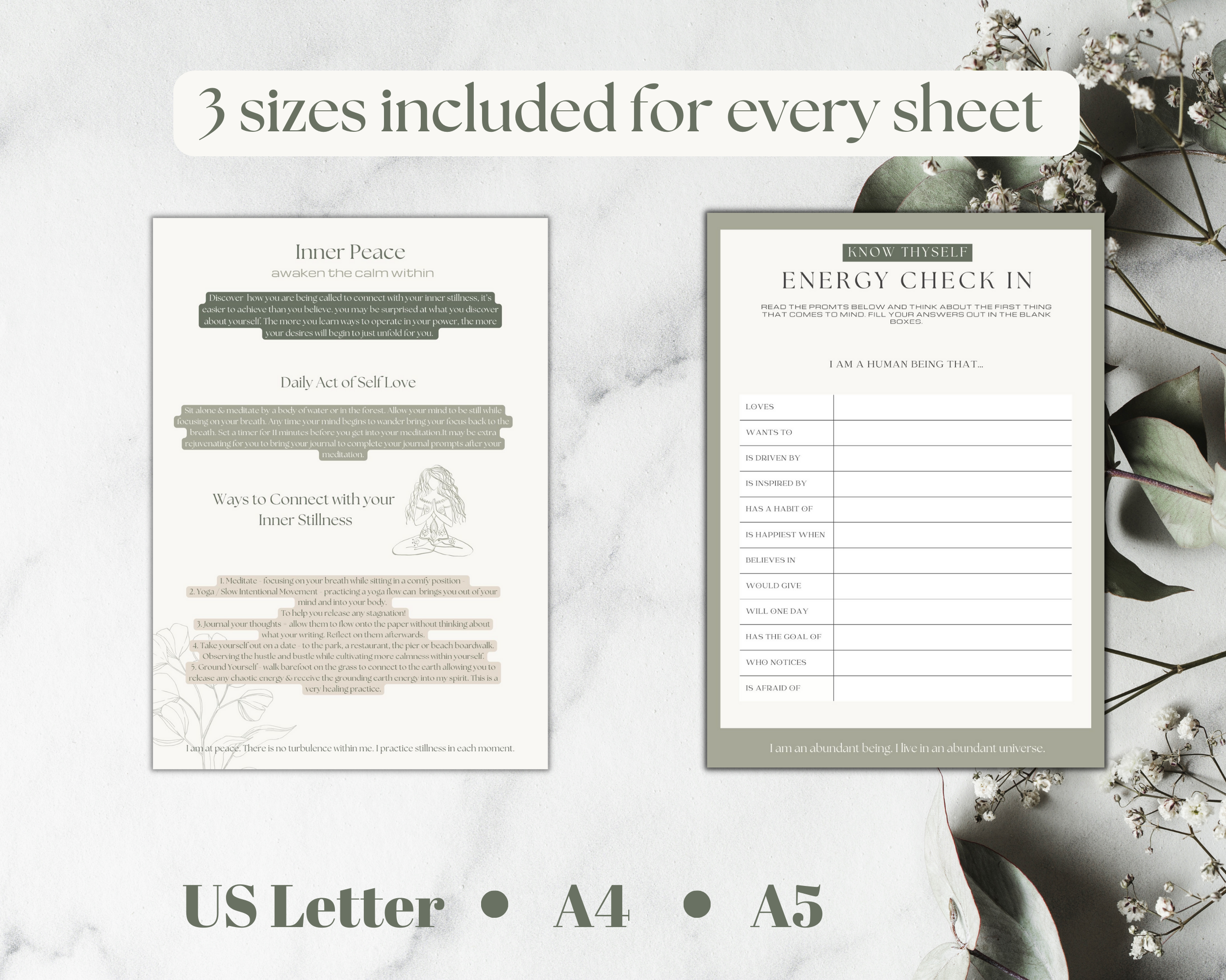 Understanding the self.png