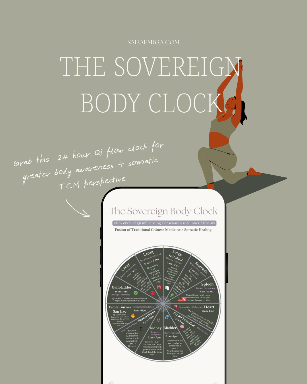 TCM Body Clock Qi Flow Diagram.png