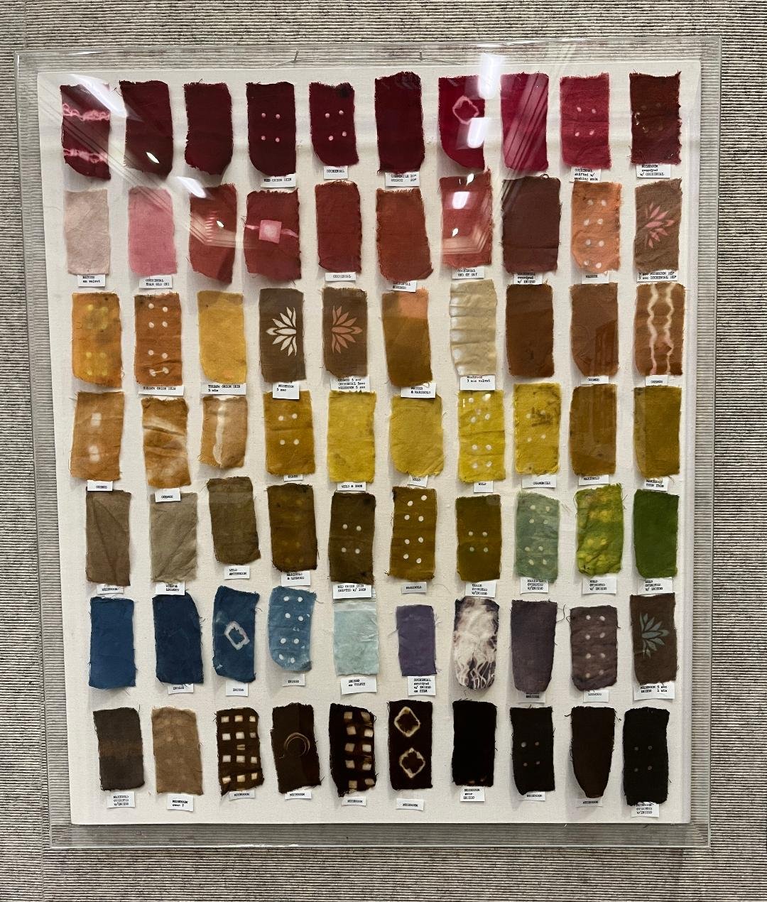 August Meeting is our Annual Natural Dye Day